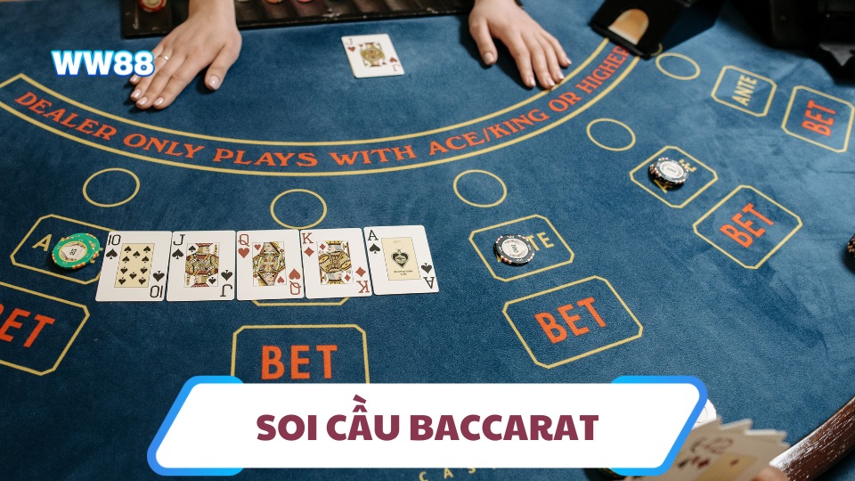 soi cau baccarat ww88 thumnail